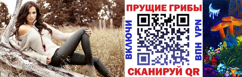 что такое наркотик  Усть-Кут  Псилоцибиновые грибы Psilocybine cubensis 
